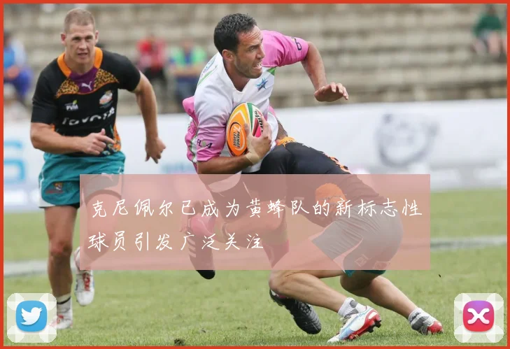 克尼佩尔已成为黄蜂队的新标志性球员引发广泛关注